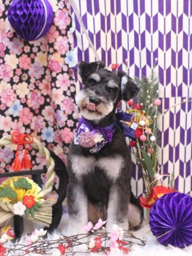 20250128門吉くん